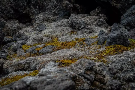 bernd-dittrich-5mvput-wzrg-unsplash-67086da8a9577