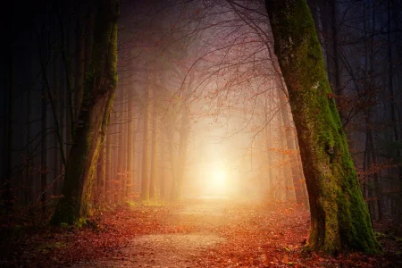 johannes-plenio-1vzlw-ihjam-unsplash-67086d3bc8901